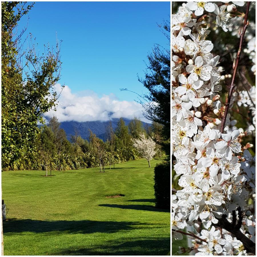 Murchison View Studio Te Anau Buitenkant foto